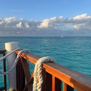 don’t buy unless for you